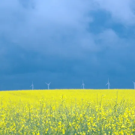 & Bistro Haus Der Horizonte *