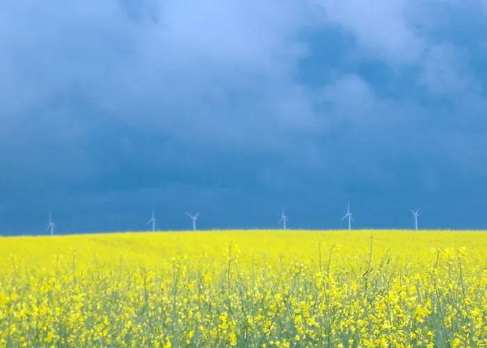 Hostel&bistro Haus Der Horizonte *